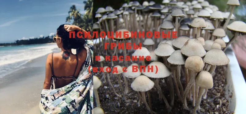 Галлюциногенные грибы Magic Shrooms  Югорск 